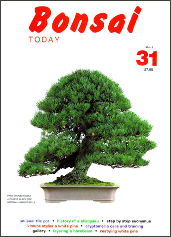 Bonsai Today 31 - Rare Out of Print