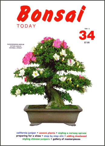 Bonsai Today 34 - Rare Out of Print