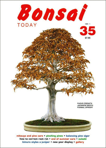 Bonsai Today 35 - Rare Out of Print