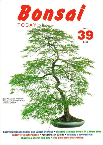 Bonsai Today 39 - Rare Out of Print
