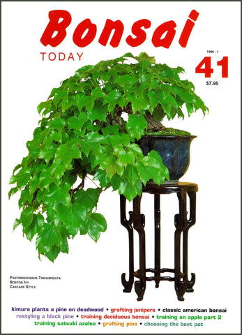 Bonsai Today 41 - Rare Out of Print