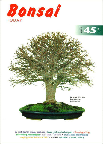 Bonsai Today 45 - Rare Out of Print