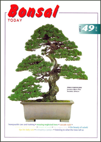 Bonsai Today 49 - Rare Out of Print