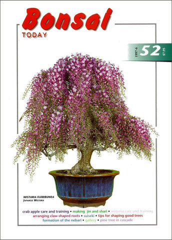 Bonsai Today 52 - Rare Out of Print