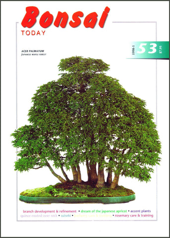Bonsai Today 53 - Rare Out of Print