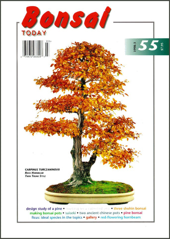 Bonsai Today 55 - Rare Out of Print