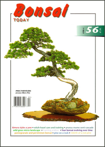 Bonsai Today 56 - Rare Out of Print