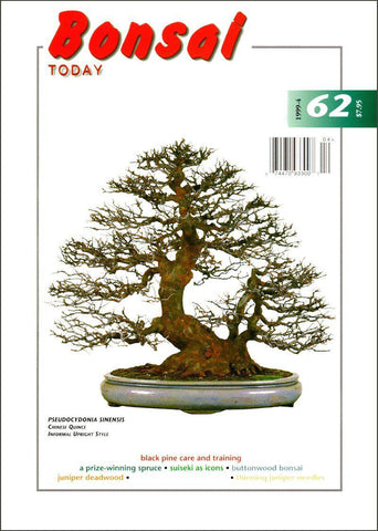 Bonsai Today 62 - Rare Out of Print