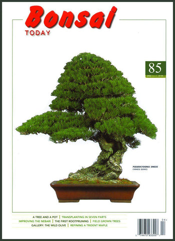 Bonsai Today 85 - Rare Out of Print