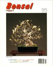 Bonsai Today 95 - Rare Out of Print