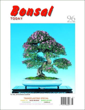Bonsai Today 96 - Rare Out of Print