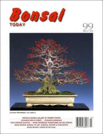 Bonsai Today 99 - Rare Out of Print