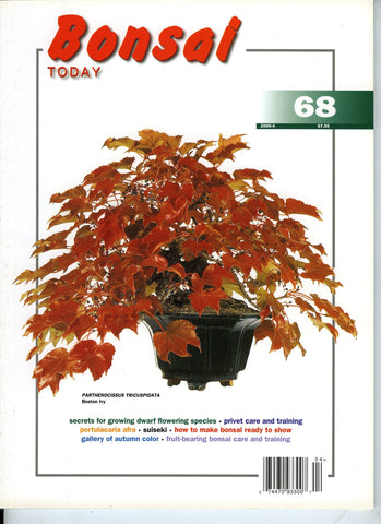 Bonsai Today 68 - Rare Out of Print