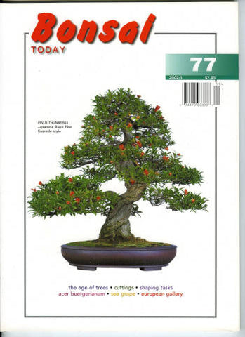 Bonsai Today 77 - Rare Out of Print