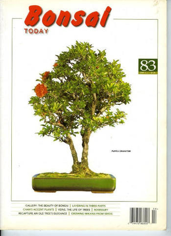 Bonsai Today 83 - Rare Out of Print