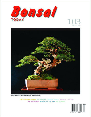 Bonsai Today 103 - Rare Out of Print