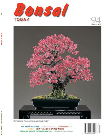 Bonsai Today 94 - Rare Out of Print