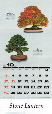 2021 - 13 Page Bonsai Calendars